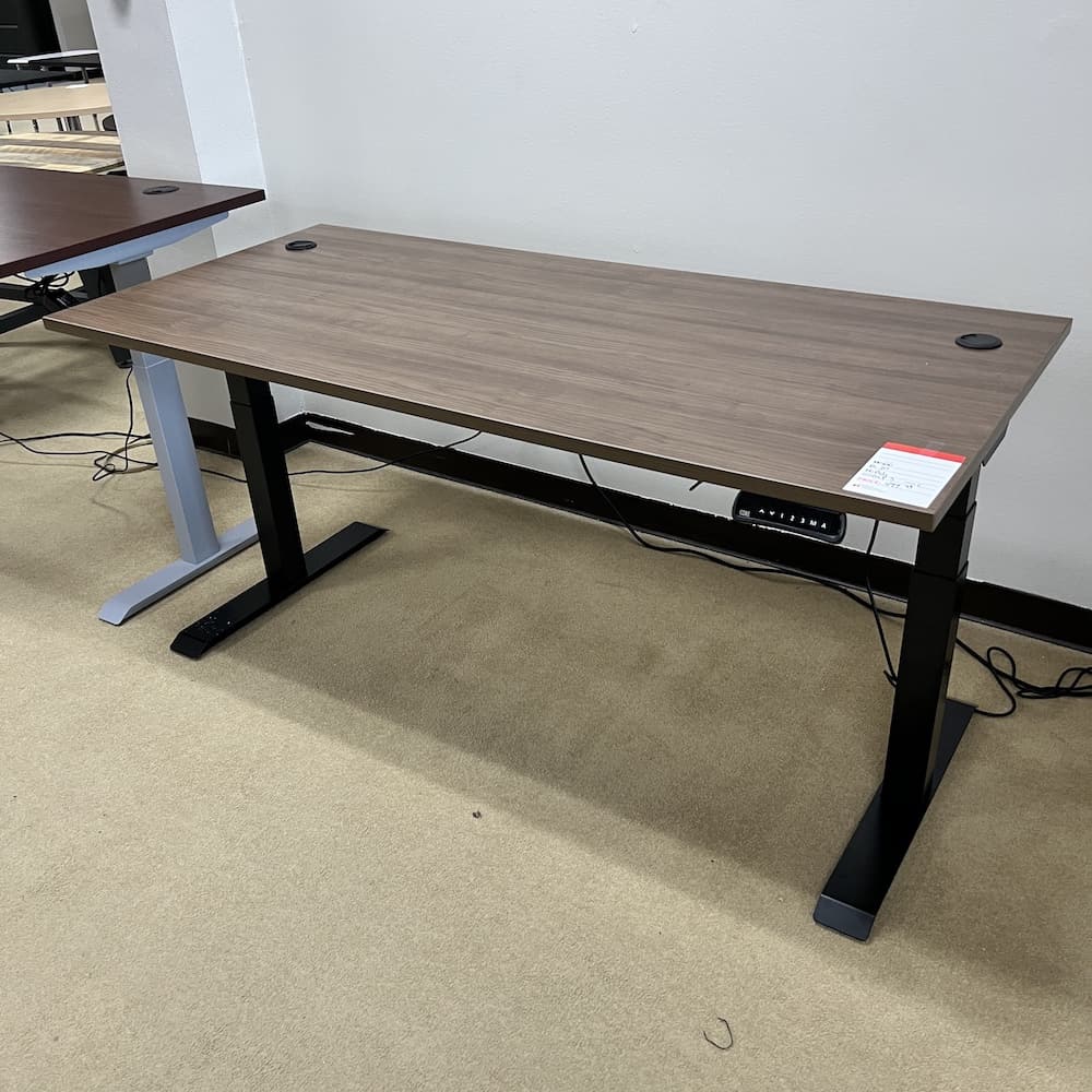 walnut laminate desk height adjustable, 66x30, used office furniture, standing desk, electric